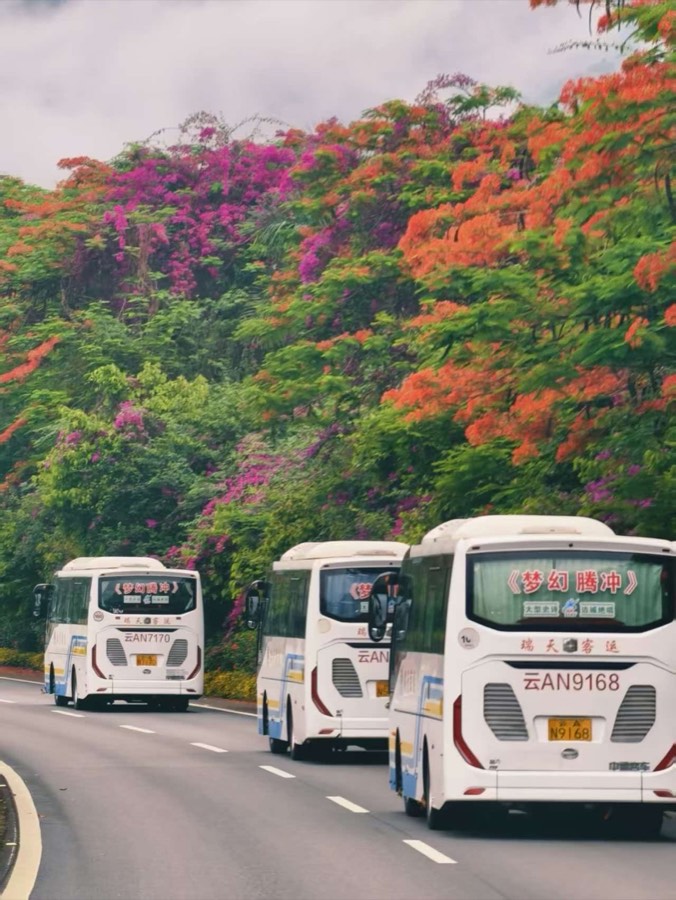 瑞天客运旅游大巴车队行驶在云南花路上